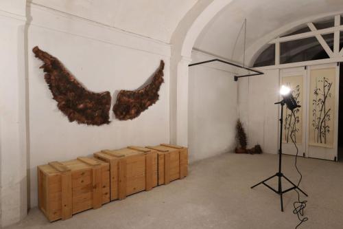 ali-angelo-esposizione