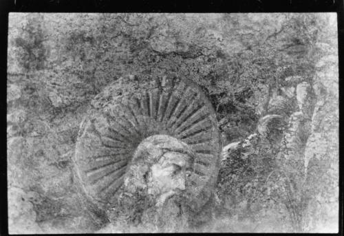 scatto1 (FILEminimizer)