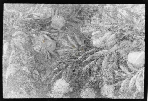 scatto4 (FILEminimizer)